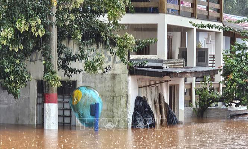 Số nạn nhân thiệt mạng, mất tích do mưa lớn và lở đất ở Brazil tăng mạnh