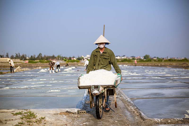 Quảng Trạch: Muối được mùa, mất giá